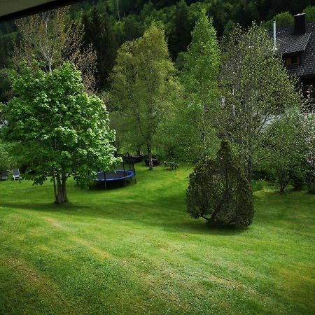 B1 Albmatte-Fewo Sauna, Hallenbad Aussenbecken Massagen Nebenan Menzenschwand Exterior photo