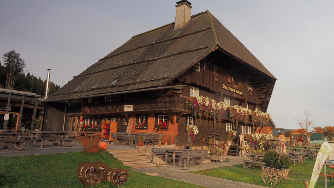 B1 Albmatte-Fewo Sauna, Hallenbad Aussenbecken Massagen Nebenan Menzenschwand Exterior photo